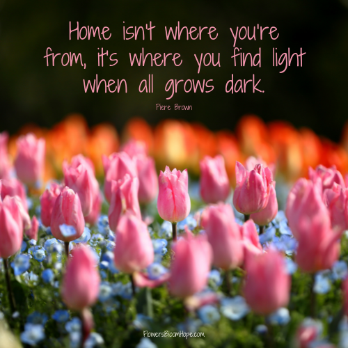 Home isn’t where you’re from, it’s where you find light when all grows dark