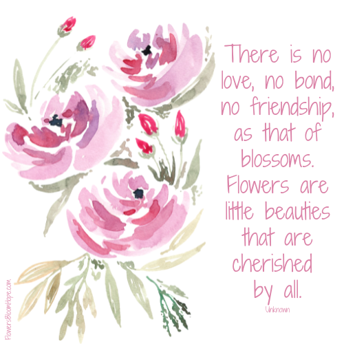 There is no love, no bond, no friendship, as that of blossoms. Flowers are little beauties that are cherished by all.