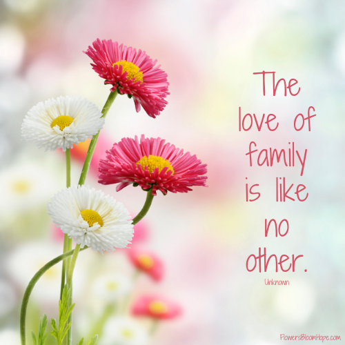 The love of family is like no other.
