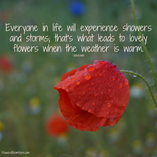Everyone in life will experience showers and storms; that’s what leads to lovely flowers when the weather is warm.