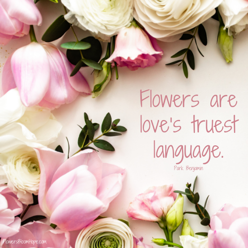 Flowers are love’s truest language.
