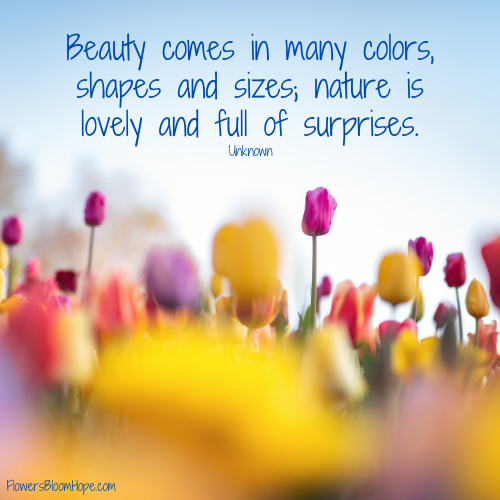 Beauty comes in many colors, shapes and sizes; nature is lovely and full of surprises.
