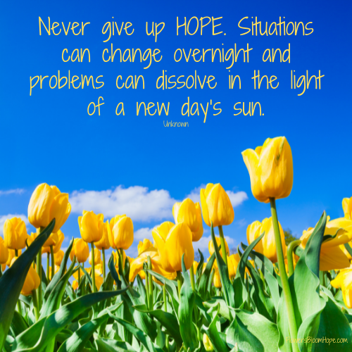 Never give up HOPE. Situations can change overnight and problems can dissolve in the light of a new day’s sun.