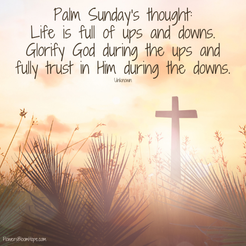 Palm Sunday's thought; Life is full of ups and downs. Glorify God during the ups and fully trust in Him during the downs.