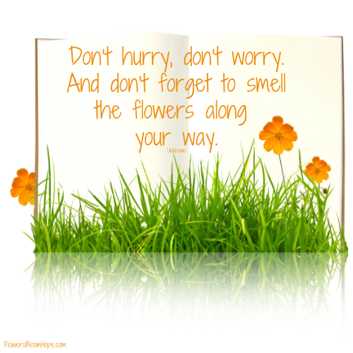 Don’t hurry, don’t worry. And don’t forget to smell the flowers along your way.