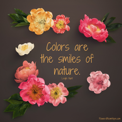 Colors are the smiles of nature.