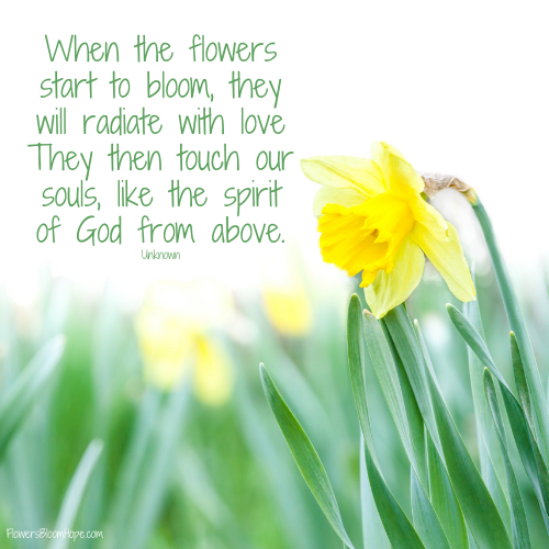 When the flowers start to bloom, they will radiate with love They then touch our souls, like the spirit of God from above.