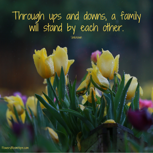 Through ups and downs, a family will stand by each other.