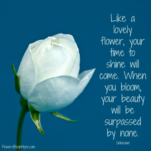 Like a lovely flower, your time to shine will come. When you bloom, your beauty will be surpassed by none.