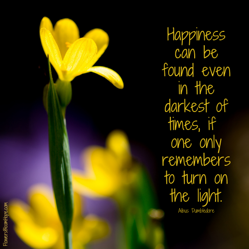 Happiness can be found even in the darkest of times, if one only remembers to turn on the light.