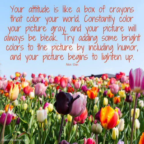 Your attitude is like a box of crayons that color your world. Constantly color your picture gray, and your picture will always be bleak. Try adding some bright colors to the picture by including humor, and your picture begins to lighten up.