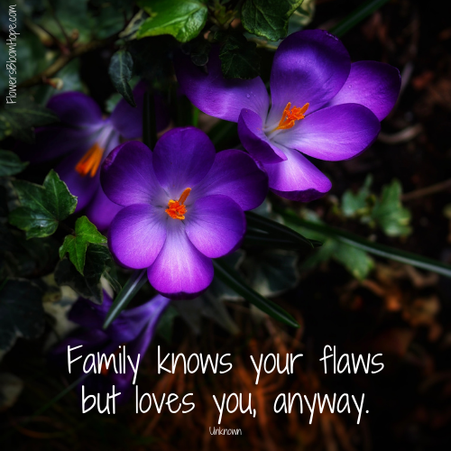 Family knows your flaws but loves you, anyway.