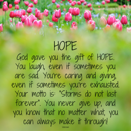 Biblical Hope Quotes - Flowers Bloom Hope