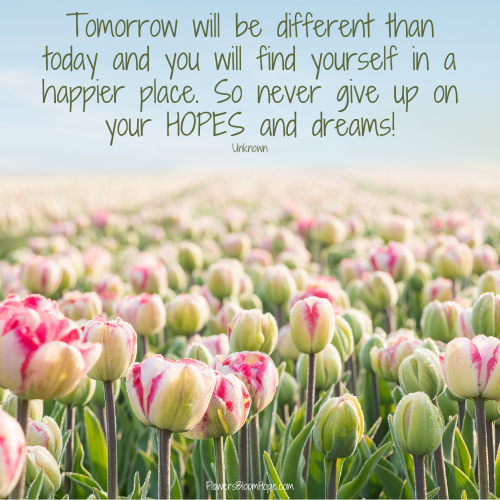 Tomorrow will be different than today and you will find yourself in a happier place. So never give up on your HOPES and dreams!