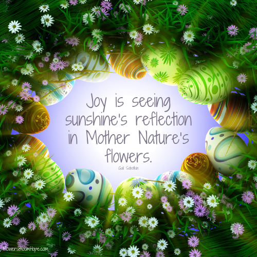 Joy is seeing sunshine’s reflection in Mother Nature’s flowers.