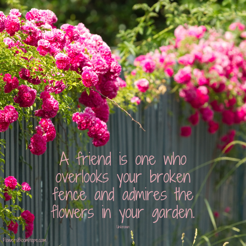 A friend is one who overlooks your broken fence and admires the flowers in your garden.