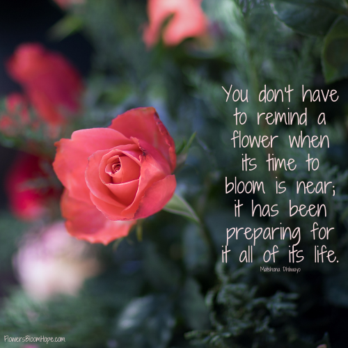 You don’t have to remind a flower when its time to bloom is near; it has been preparing for it all of its life.