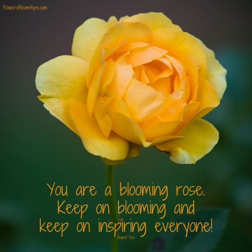 You are a blooming rose. Keep on blooming and keep on inspiring everyone!