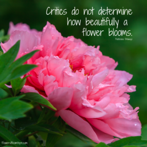 Flower Quotes - Flowers Bloom Hope