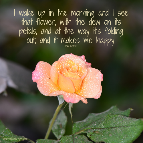 I wake up in the morning and I see that flower, with the dew on its petals, and at the way it’s folding out, and it makes me happy.