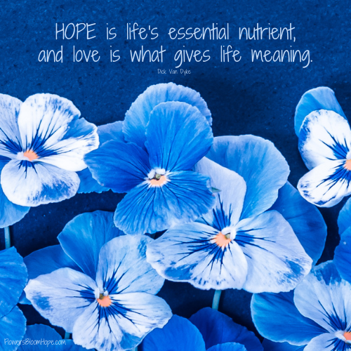 HOPE is life's essential nutrient, and love is what gives life meaning
