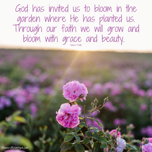 God has invited us to bloom in the garden where He has planted us. Through our faith we will grow and bloom with grace and beauty.