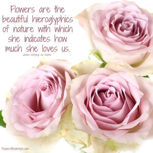Flowers are the beautiful hieroglyphics of nature with which she indicates how much she loves us.