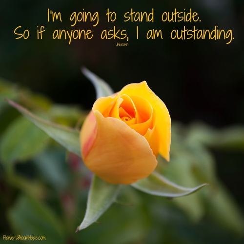 I’m going to stand outside. So if anyone asks, I am outstanding.