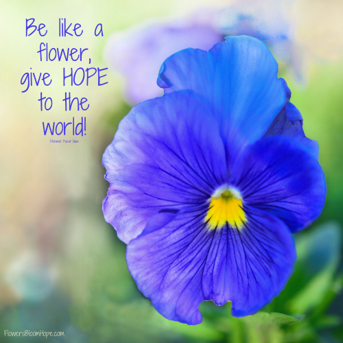 Be like a flower, give HOPE to the world!