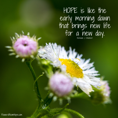HOPE is like the early morning dawn that brings new life for a new day.