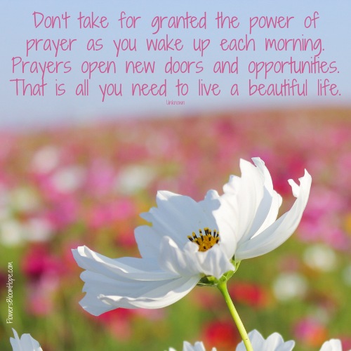 Don’t take for granted the power of prayer as you wake up each morning. Prayers open new doors and opportunities. That is all you need to live a beautiful life.