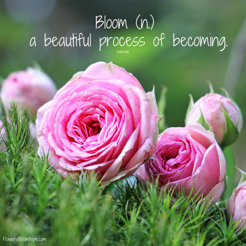Bloom (n.) a beautiful process of becoming
