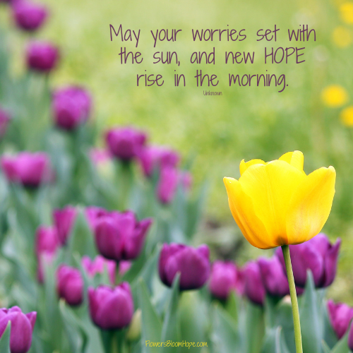 May your worries set with the sun, and new HOPE rise in the morning.