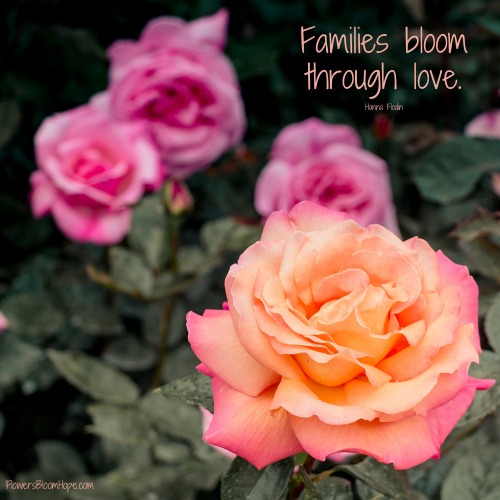Families bloom through love.