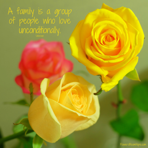 A family is a group of people who love unconditionally.