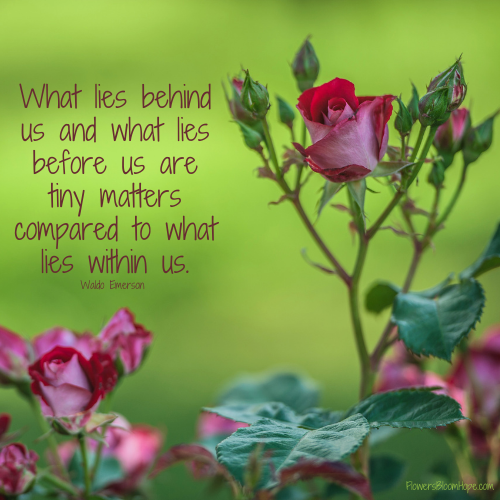 What lies behind us and what lies before us are tiny matters compared to what lies within us.