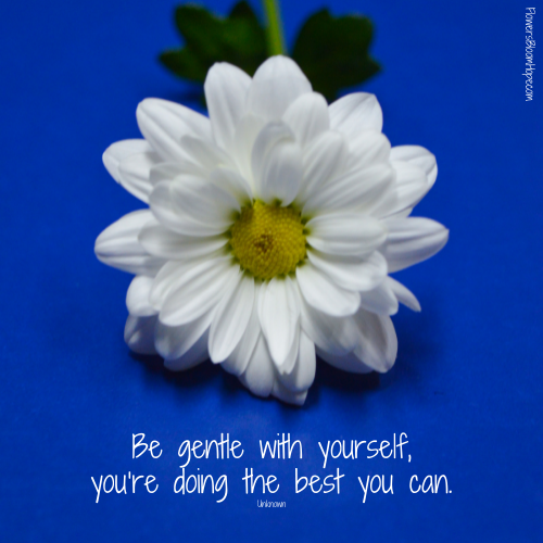 Be gentle with yourself, you’re doing the best you can.