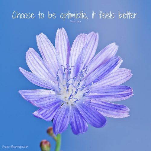 Choose to be optimistic, it feels better.