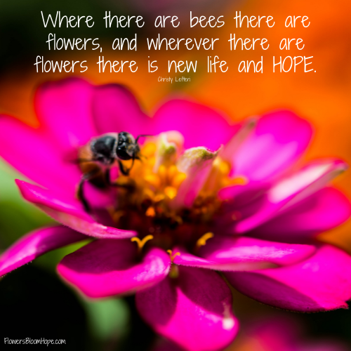 Where there are bees there are flowers, and wherever there are flowers there is new life and HOPE.