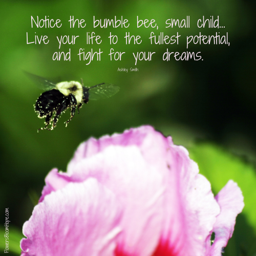 Notice the bumble bee, small child... Live your life to the fullest potential, and fight for your dreams.
