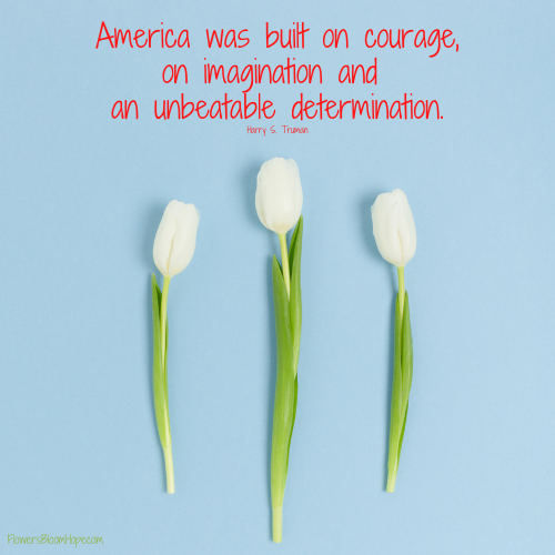 America was built on courage, on imagination and an unbeatable determination.