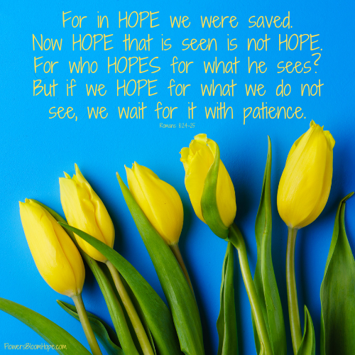 For in HOPE we were saved. Now HOPE that is seen is not HOPE. For who HOPES for what he sees? But if we HOPE for what we do not see, we wait for it with patience.