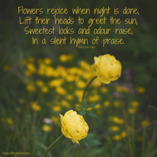 Flowers rejoice when night is done, Lift their heads to greet the sun; Sweetest looks and odour raise, In a silent hymn of praise.