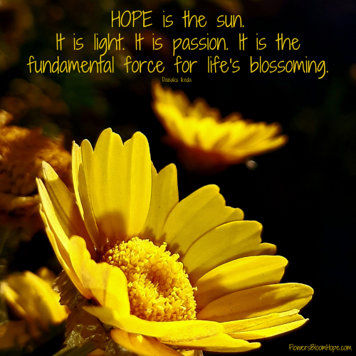HOPE is the sun. It is light. It is passion. It is the fundamental force for life's blossoming.