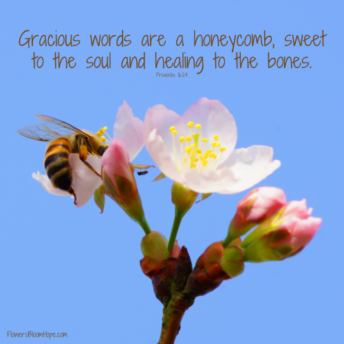 Gracious words are a honeycomb, sweet to the soul and healing to the bones