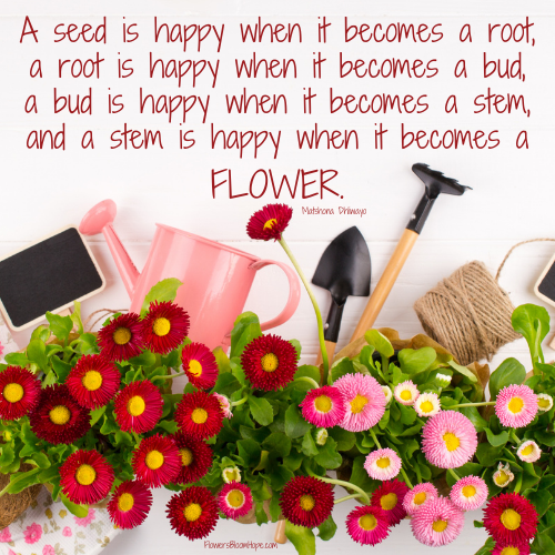 A seed is happy when it becomes a root, a root is happy when it becomes a bud, a bud is happy when it becomes a stem, and a stem is happy when it becomes a flower.