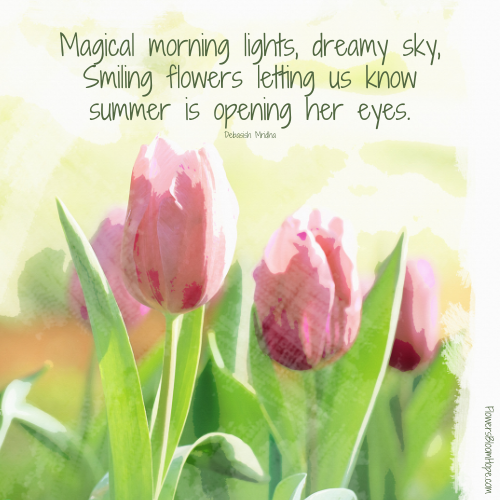 Magical morning lights, dreamy sky,Smiling flowers letting us know summer is opening her eyes.