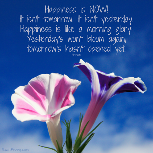 Happiness is NOW! It isn't tomorrow. It isn't yesterday. Happiness is like a morning glory: Yesterday's won't bloom again; tomorrow's hasn't opened yet.