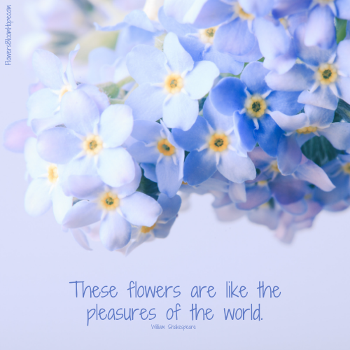 Pleasures Of The World Flowers Bloom Hope