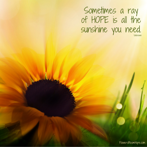 Sometimes a ray of HOPE is all the sunshine you need.